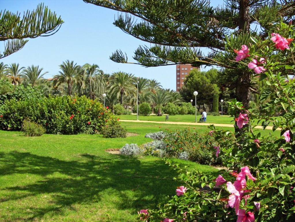 27-3- Комната С Балконом В Квартире Аликанте Для 5 Человек Alicante Dış mekan fotoğraf